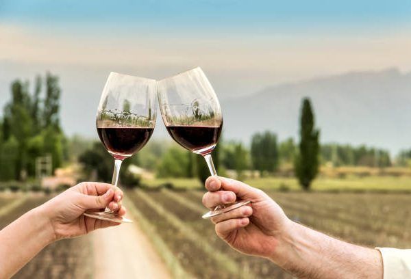 Visitar bodegas en Mendoza: Tips a tener en cuenta